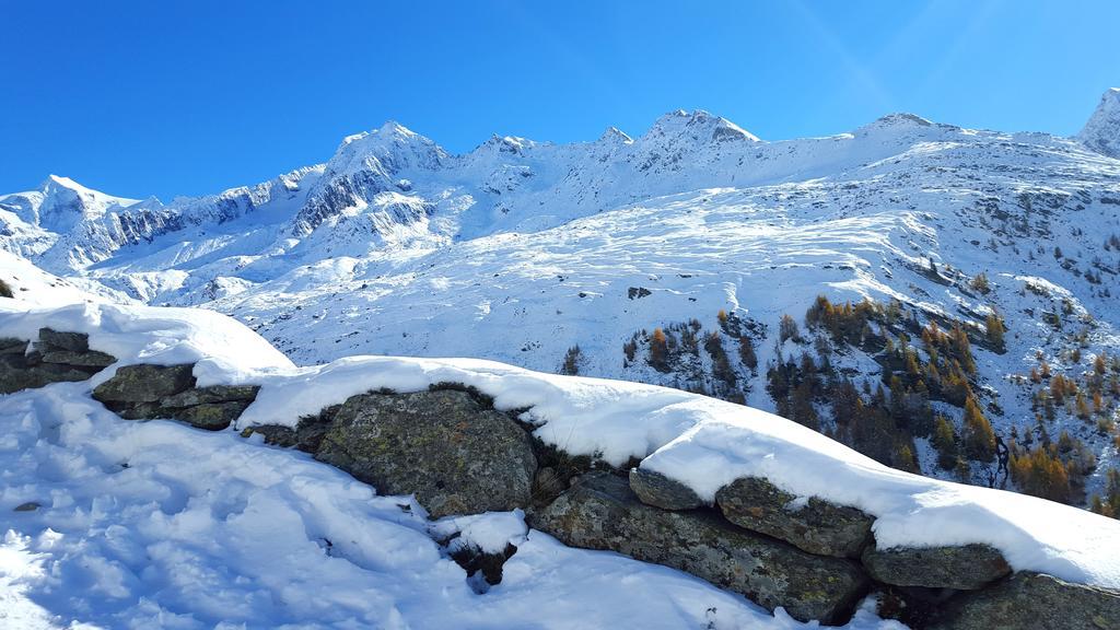Ahrntal Grossstahlhof Mountain & Panorama View 아파트 외부 사진