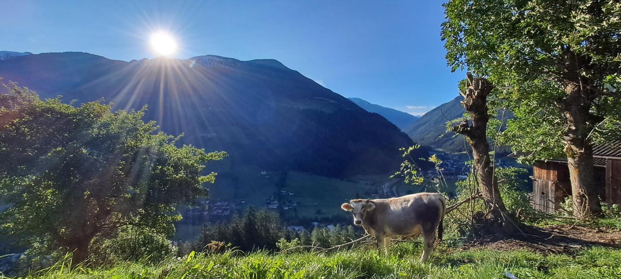 Ahrntal Grossstahlhof Mountain & Panorama View 아파트 외부 사진